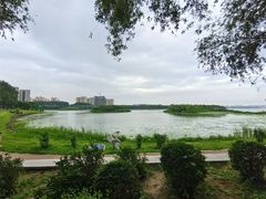 -丁香湖公园