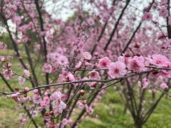 -广富林郊野公园