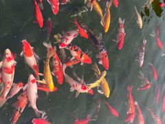-董永七仙女文化园