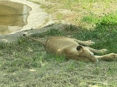 -西安秦岭野生动物园