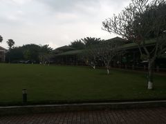 -侯臣咖啡文化村