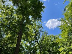 -阳台山自然风景区