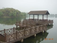 -上海市保健医疗中心(华东疗养院)