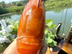 -徐岛主·特色农家乐(阳澄湖莲花岛店)