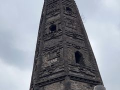 -上海佘山国家森林公园天马山园