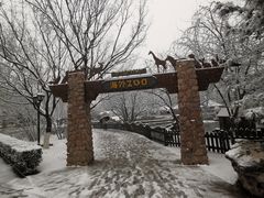 -北京市海淀外国语实验学校