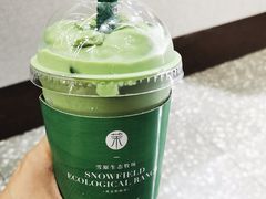 -茉酸奶(春熙路店)
