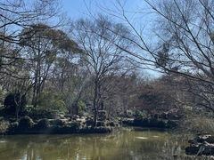 -秋霞圃