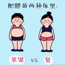 -弹力熊自助健身X普拉提