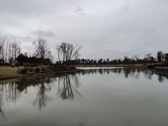 -九科绿洲