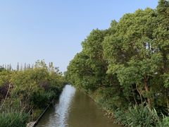 -上海长兴岛郊野公园