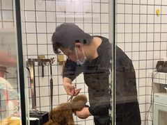 -熊小胖宠物生活馆(天华园店)