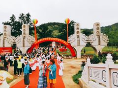 -千年银杏谷文化旅游区