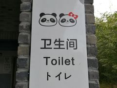 -都江堰中华大熊猫苑