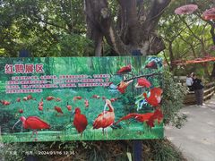 -广州长隆飞鸟乐园