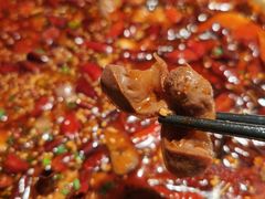 鸡杂毛血旺-江渔儿酸菜鱼(港湾1号店)