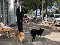 -收获咖啡HARVEST RESERVE(苍山店)