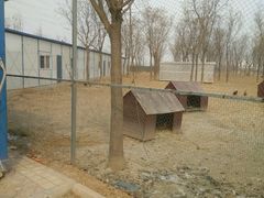 -甜心庄园·甜心草莓采摘园(西青中北店)