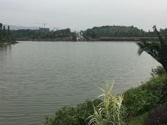 -枫香湖儿童公园