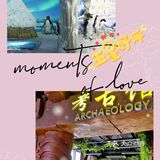 奇尼怪村儿童乐园