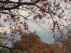-塔川景区