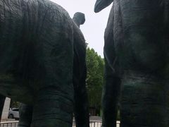 -河南自然博物馆