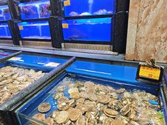 -万宝海鲜舫(劳动公园店)
