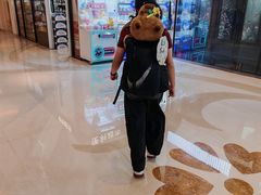 -苏州吴中白金汉爵大酒店