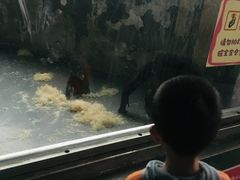 -无锡动物园·太湖欢乐园