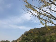 -牛首山文化旅游区