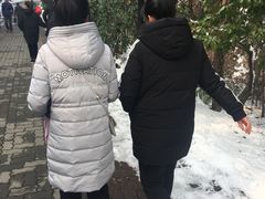 -虞山城墙