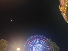 -洋湖国家湿地公园