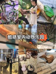 -酷嗒动物文化乐园(cutezoo西溪乐天城店)