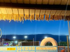 -上海玛雅海滩水公园