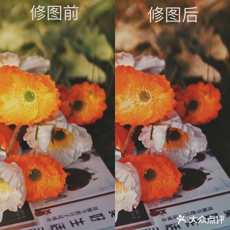 秋日碎片🍂日系暖调电影感滤镜|摄影调色