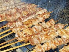 -海南东山羊(南雄店)