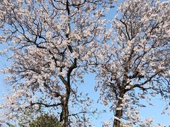 -成都市文化公园