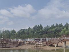 -日照海滨国家森林公园