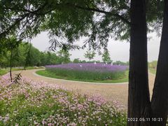 -同里国家湿地公园