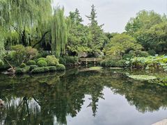 -秋霞圃