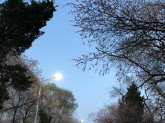 -吉林大学(南岭校区)