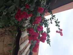 iphone_upload_pic-北岸海景酒店