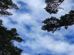 -瓦屋山景区