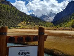 -稻城亚丁景区-冲古草甸