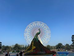 -七彩云南欢乐世界