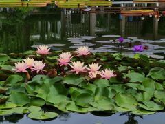 -国家植物园南园