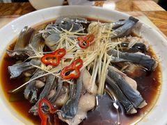 -煲来饱去冷水鱼