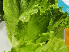 -唯成•韩国炭火烤肉 유성고기