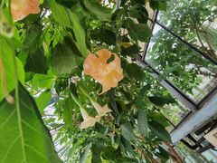 -常州花鸟园酒店(西太湖品牌优选店)