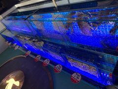 -鸽子侯·家宴·平价海鲜(市图书馆店)